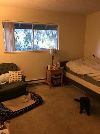 Private Bed and Bath in Santa Clara Apartment 2