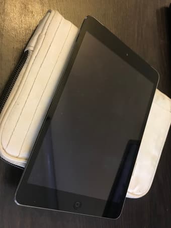 iPad mini 2 Wi-Fi + Cellular 1