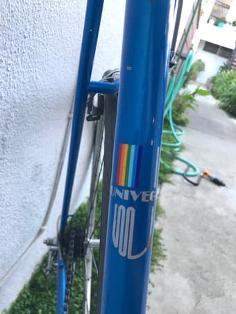 Univega Steel Frame Road Bike: 62cm 2
