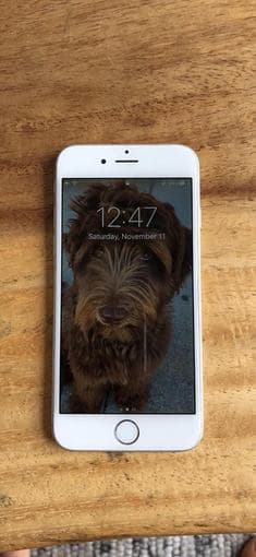 iPhone 6 Silver 16GB 3