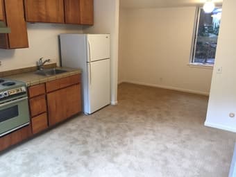 Studio Apartment Available 2