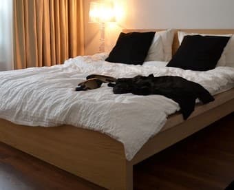 Ikea Malm Bed Queen Size - looks like new 1
