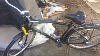 Selling Trek Lime Lite bike 1