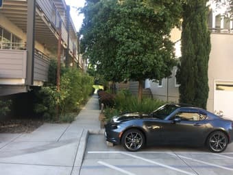 palo alto-Sunny large Private Furnished Bedroom in 3b/2b 1