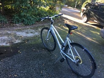 Marin Larkspur for sale 1