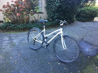 Marin Larkspur for sale 2
