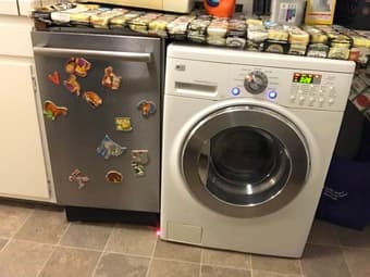 LG washer/dryer combo and Bosch dishwasher for EV 1