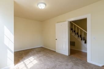 Looking for a great roommate 3