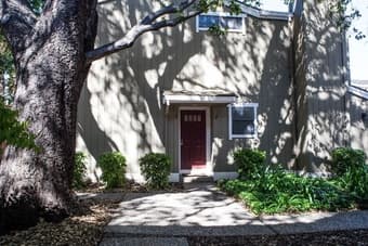 Looking for a great roommate 3