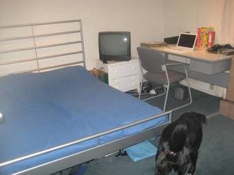 Available 1/15 furnished room with private bath in large house 2