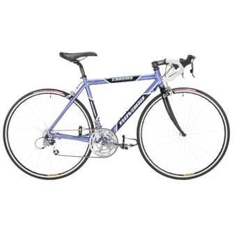 Looking for my bicycle (Blue novara carema 2005) 1