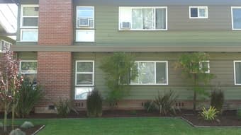 Large Sunlit Private Room, Shared Apt, near Apple, 15 min Stanford 1
