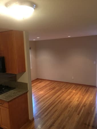 1B/1B pet friendly inlaw unit in downtown North 3