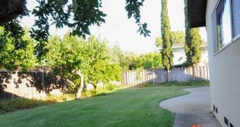 Hello Future Roommate - Big Room for Rent 2