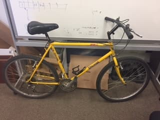 Hybrid Workhorse Bike 1