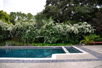 Large home, clean and respectful roommates 2