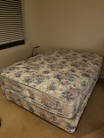 Moving Sale (Full-Sized Bed, 43" TV, Table, etc.) 1