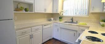2Br/2Ba Mountain View Apartment for Rent 2