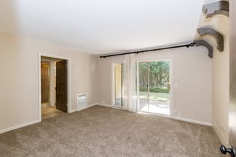 Looking for a great roommate 3