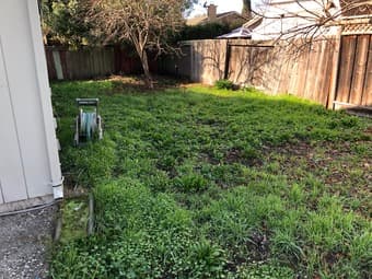 Looking for a great roommate to fill our open room in Mountain View! 3