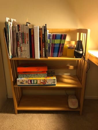 bookcase 2