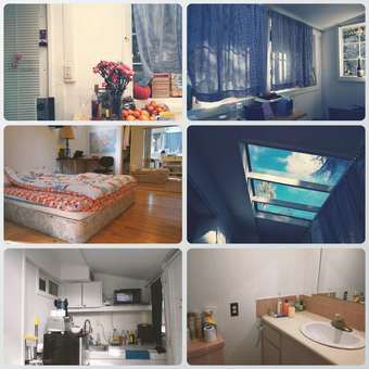 Mountain View Studio sublease in March 三月份短租 1