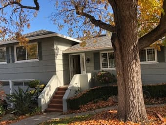 Looking for a new roommate ASAP! 1