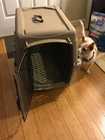 Medium Kennel 1