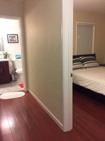 Fantastic housing with great roommates - the bomb dot com! 1
