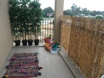 Reed fence 1