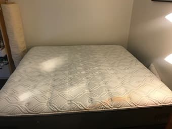 Sealy Plush Pillow Top King Mattress 1
