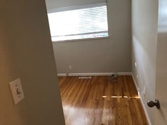Looking for a great roommate 2