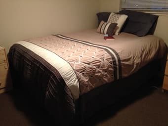 Queen Sealy Posturepedic Camerino Plush Mattress 1