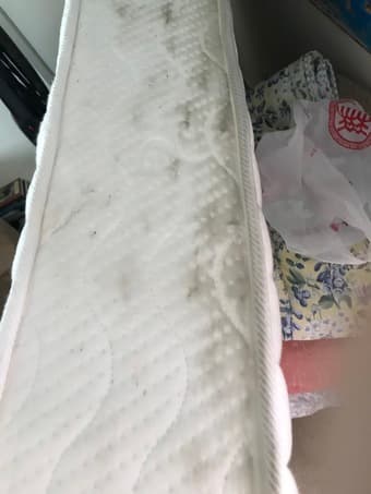 Pretty new mattress 2