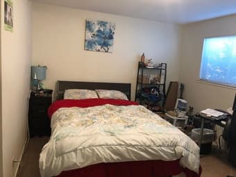 Master + ensuite in 2/2 available Aug 1 in Palo Alto 1