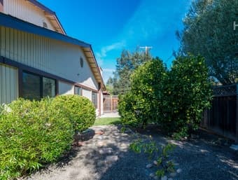 Looking for a great roommate to fill our open room in Palo Alto! 1