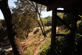 Master Bedroom In Nature Sanctuary: April 1- July 1 1