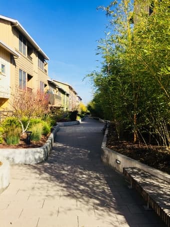 Town house in Palo Alto available for rent 1