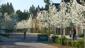 Summer (6/4-7/10) Sublet 2 Bedroom Apt @ Std West - $698/week 1