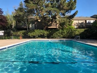 Furnished Room in MV for May and June 1