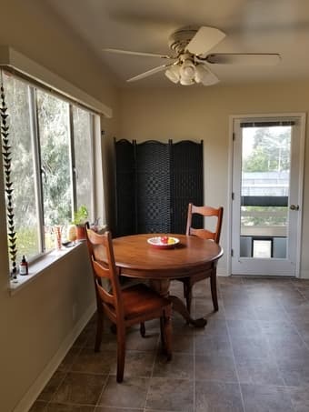 Huge sunny room in spacious apt, 10min bike from campus, avail Apr 10 3