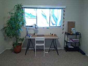 Avail immediately: Huge room in sunny 2bd apt, blocks from campus 1