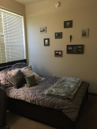 private room and full bathroom, in 4 BR fully furnished apt 2