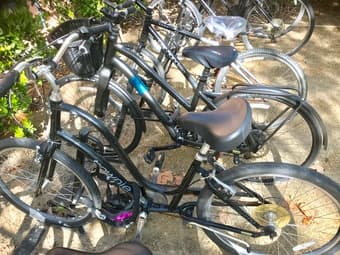 Selling great condition Electra Townie Bicycle 1