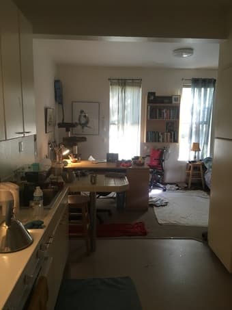 Summer Sublet: Single Studio in EV 2
