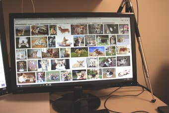 21.5" Asus Monitor 1