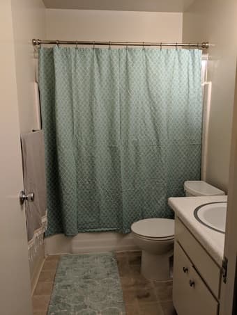Matching Bath Rug and Shower Curtain 1