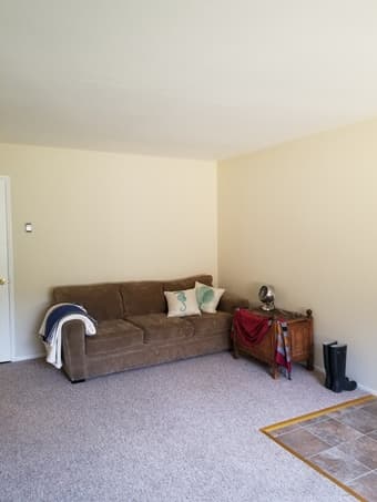 Avail. May 01: Large, sunny room in 2bd blocks from campus 3