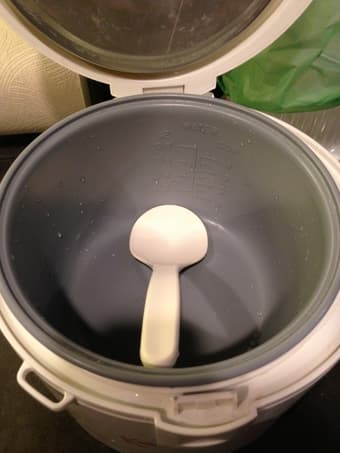rice cooker 2