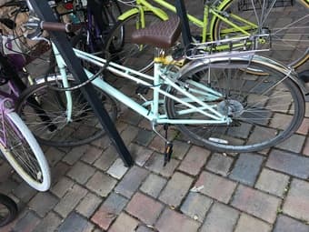 woman, man bicycle and trailor for sale 3